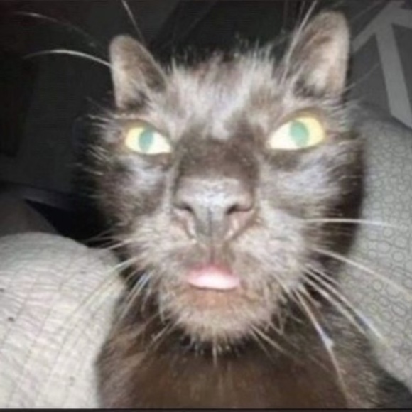 Meet your Posher, It’s - Picture 1 of 1